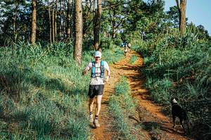 BIB: 
                            <button type="button" onclick="openModal(25654547)" class="btn btn-primary btn-sm float-right btn-popup" data-toggle="modal" data-target=".modal-high-quality">
                        <i class="fas fa-shopping-cart"></i> Add to Cart
                    </button>
                                            <button type="button" onclick="isThisMe(25654547, true)" class="btn btn-success btn-sm float-right btn-popup btn-isme hidden" data-toggle="tooltip" data-placement="bottom" title="นี่คือรูปของคุณใช่ไหม คลิกที่นี่เพื่อเอาเข้าอัลบั้ม">
                        <i class="fas fa-plus"></i> Add to album
                    </button>
                    <button type="button" onclick="isThisMe(25654547, false)" class="btn btn-warning btn-sm float-right btn-popup btn-isnotme hidden">
                        <i class="fas fa-ban"></i> Remove from album
                    </button>